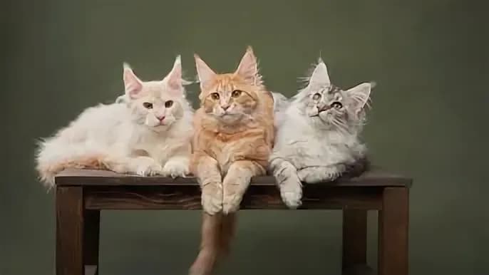 post-eurusd-forecast-2025-for-the-most-liquid-currency-pair-image